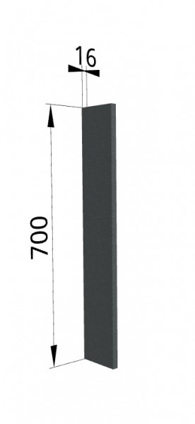 Панель торцевая ПТ 400 Квадро (для шкафа торцевого верхнего) Железо в Омске - omsk.katalogmebeli.com | фото